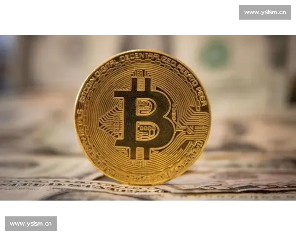 比特币的未来发展趋势与全球金融生态系统的深度影响分析